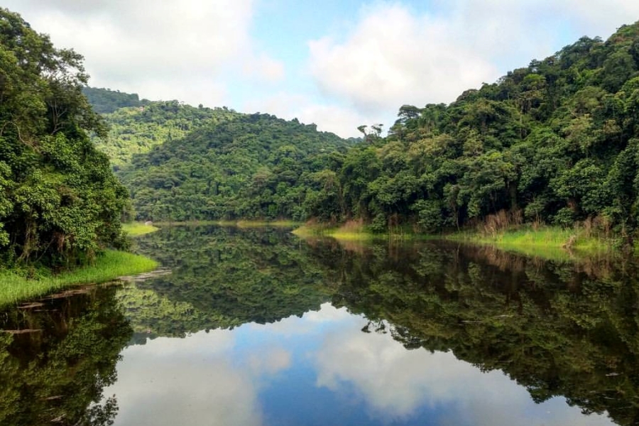 Parque Estadual da Cantareira: O Refúgio Verde na Selva de Pedra de São Paulo 7 Parque Estadual da Cantareira