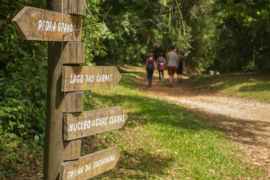 Parque Estadual da Cantareira: O Refúgio Verde na Selva de Pedra de São Paulo 5 Parque Estadual da Cantareira Trilhas