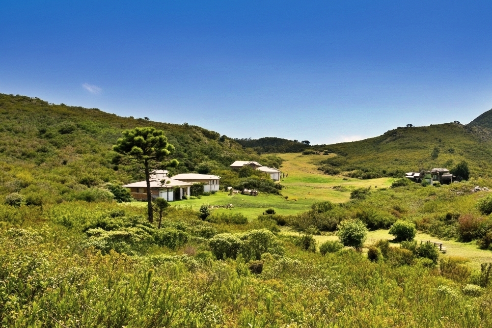 Pico da Bandeira: O Desafio de Chegar ao 3º Ponto Mais Alto do Brasil 5 pico da bandeira terreirao