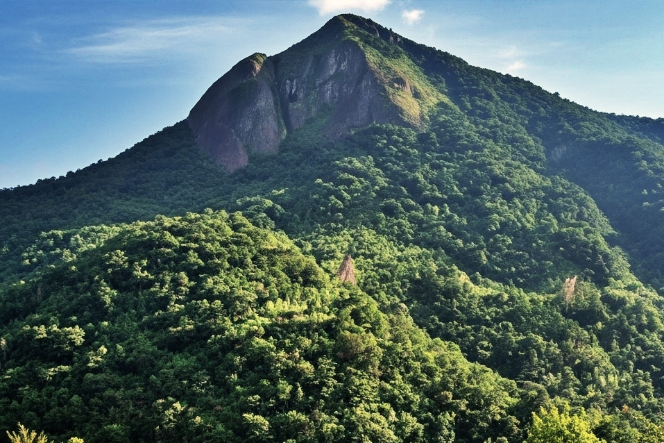 Parque Estadual de Ilhabela: Praias, Cachoeiras, Mirantes e Trilhas Imperdíveis 5 pico-do-baepi