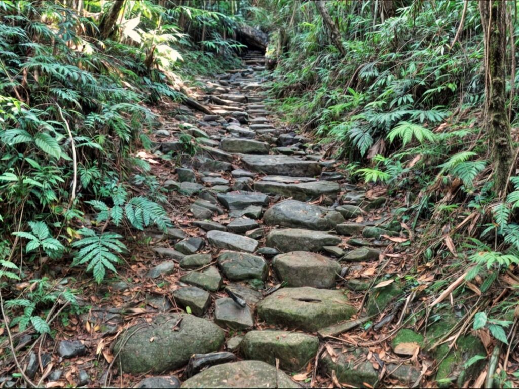 monte crista caminho dos ambrosios