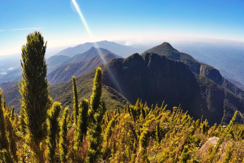 Pico Paraná: Conheça o Ponto Mais Alto da Região Sul do Brasil 3 taipabucu ferraria