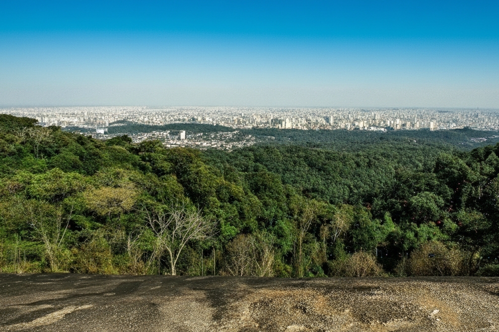 Parque Estadual da Cantareira: O Refúgio Verde na Selva de Pedra de São Paulo 3 parque-estadual-da- cantareira-pedra-grande