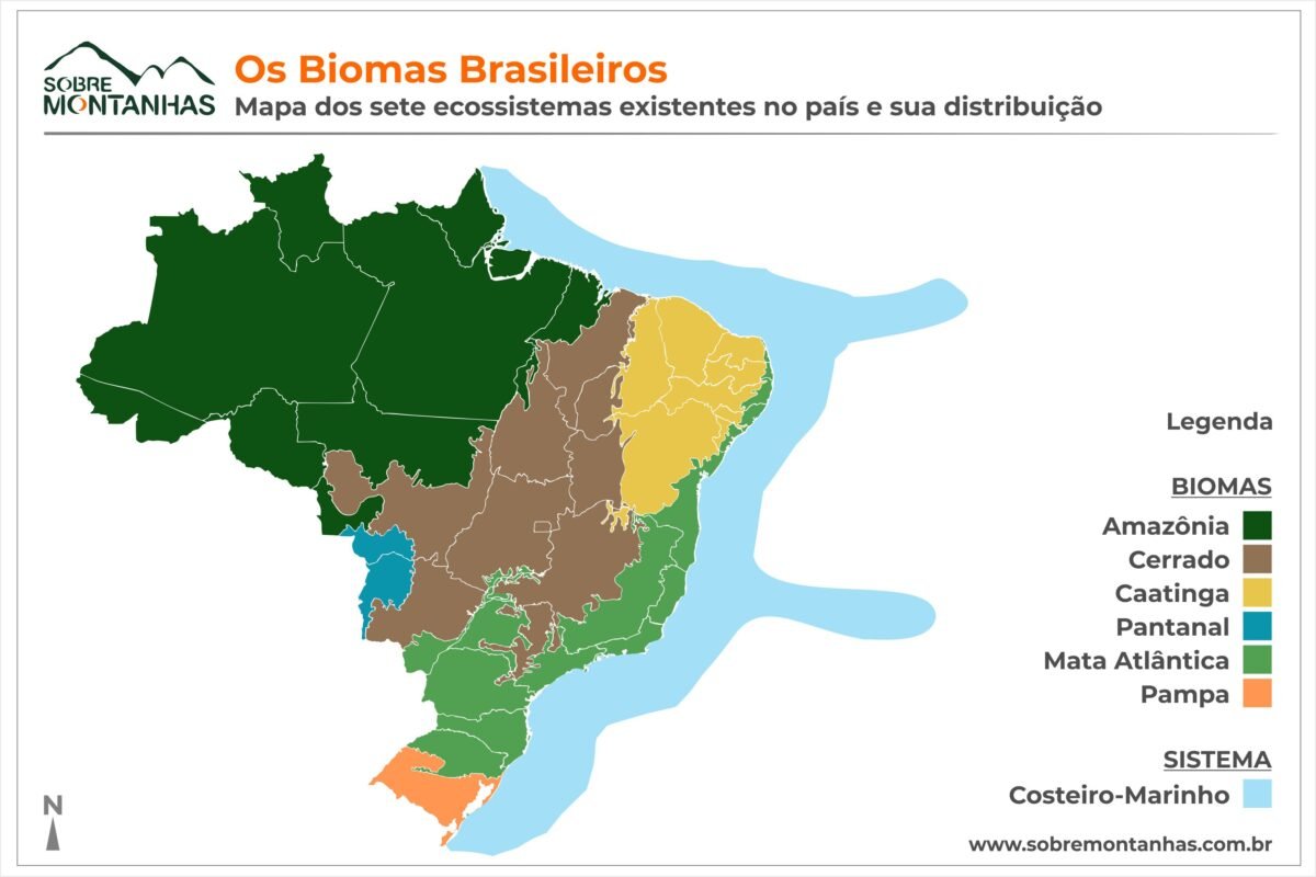 Biomas Brasileiros: Os Ecossistemas que Moldam Nosso País