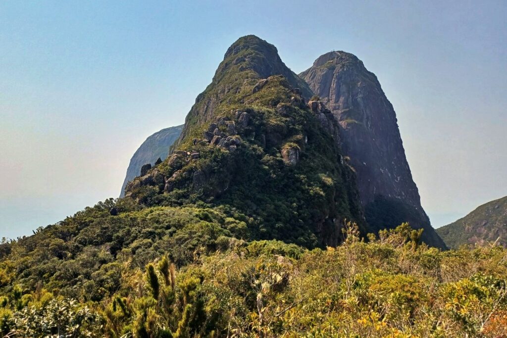 pico parana novas regras